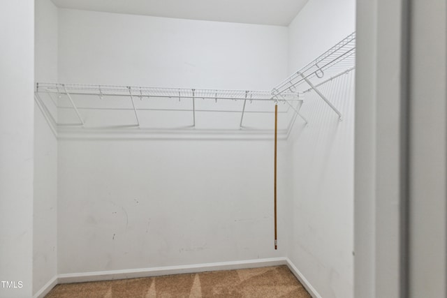 2228 Cedar Grove Dr, Durham, NC 27703 - spacious closet featuring carpet flooring