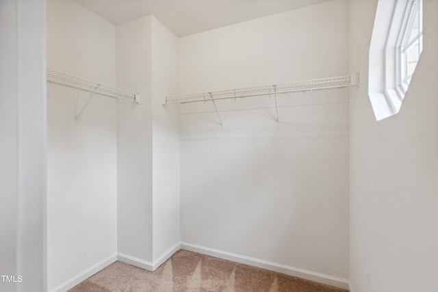 2228 Cedar Grove Dr, Durham, NC 27703 - walk in closet with carpet flooring