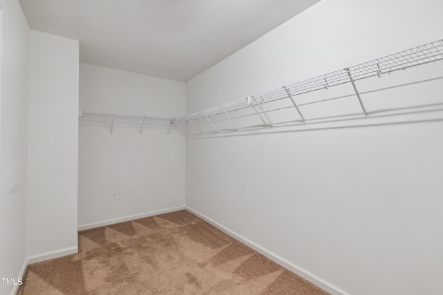 2228 Cedar Grove Dr, Durham, NC 27703 - spacious closet with carpet flooring