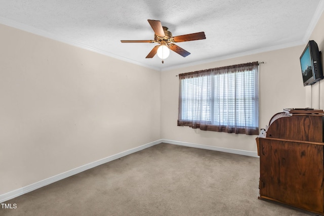 510 Forest Dr, South Boston, VA 24592 - photo 20