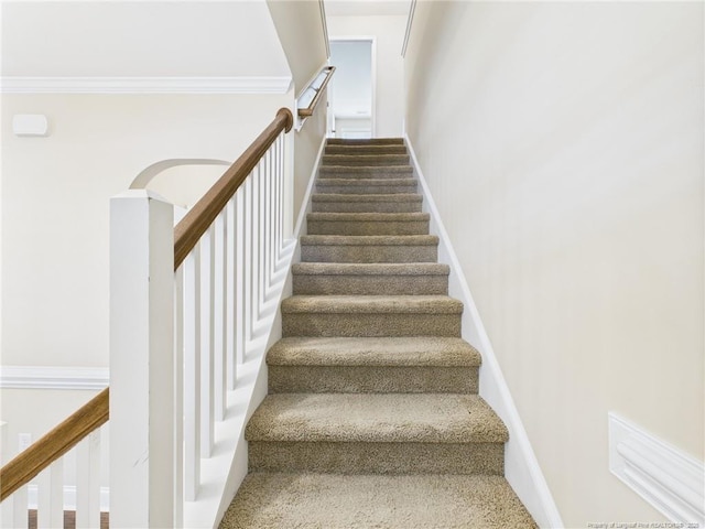 448 Pittfield Run, Cameron, NC 28326 - stairway with carpet and crown molding