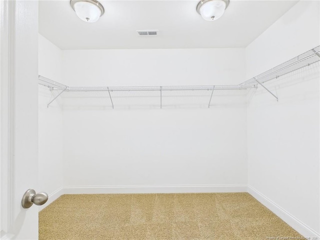 448 Pittfield Run, Cameron, NC 28326 - spacious closet with carpet flooring