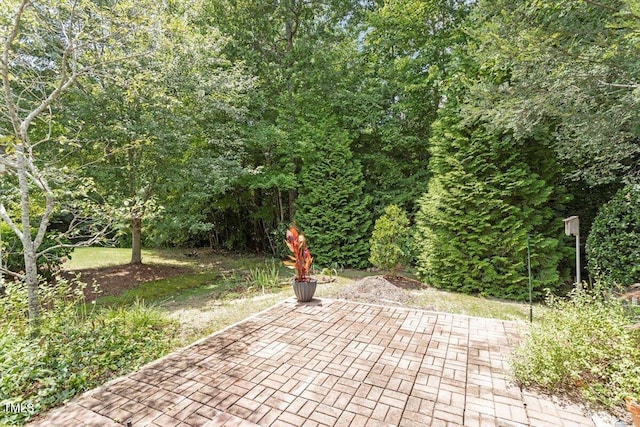 136 Serenity Hill Cir, Chapel Hill, NC 27516 - photo 28