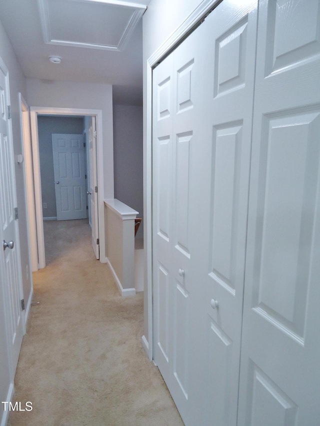 8315 City Loft Ct, Raleigh, NC 27613 - hall with light carpet and attic access