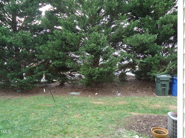 8315 City Loft Ct, Raleigh, NC 27613 - view of green lawn