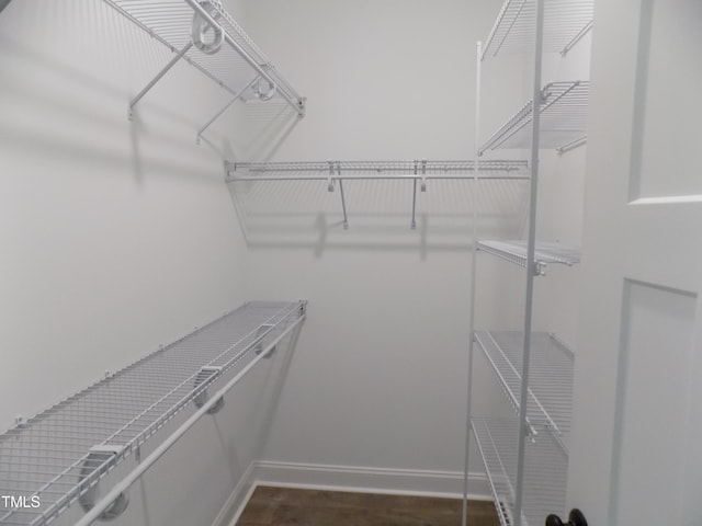 560 S N C 39 Hwy, Louisburg, NC 27549 - view of walk in closet