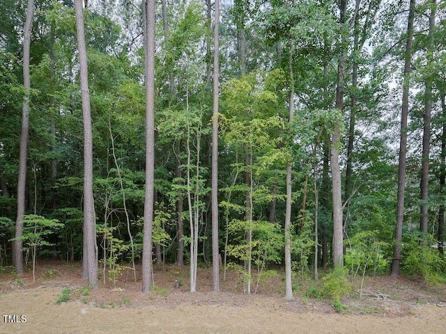 560 S N C 39 Hwy, Louisburg, NC 27549 - photo 11