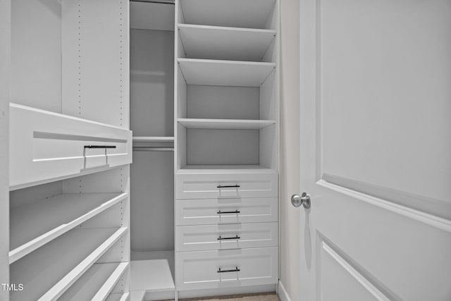 111 Court Jester Way, Morrisville, NC 27560 - view of spacious closet