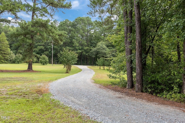 1128 Old Stage Rd S, Erwin, NC 28339 - surrounding community featuring a lawn, a wooded view, and gravel driveway