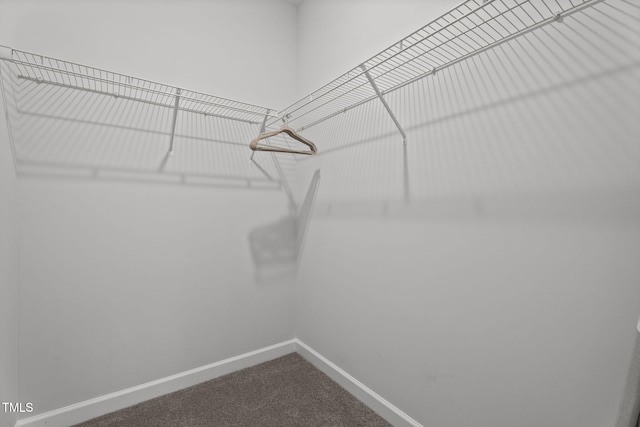 312 E Yukon St, Kenly, NC 27542 - spacious closet with dark carpet