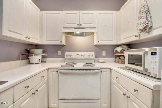 4245 Toccopola St, Raleigh, NC 27604 - photo 11