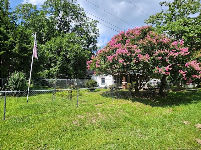 610 Jackson St, Laurinburg, NC 28352 - photo 28