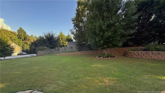 5724 Avera Ln, Holly Springs, NC 27540 - view of yard