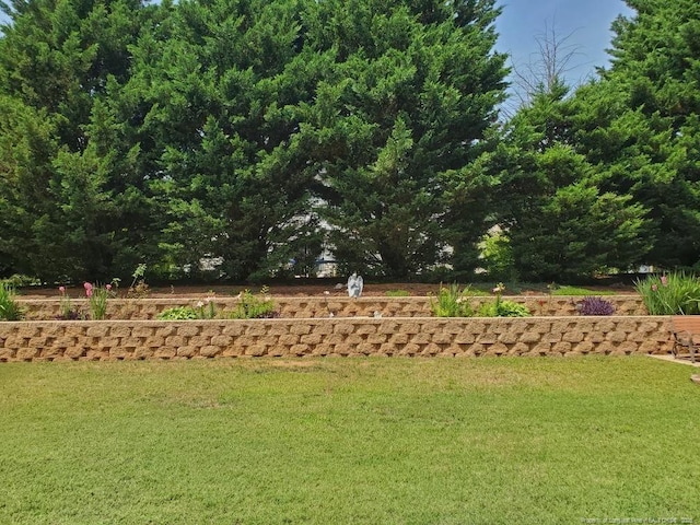 5724 Avera Ln, Holly Springs, NC 27540 - view of green lawn