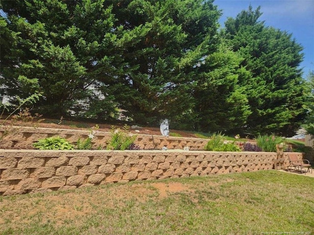 5724 Avera Ln, Holly Springs, NC 27540 - view of grassy yard