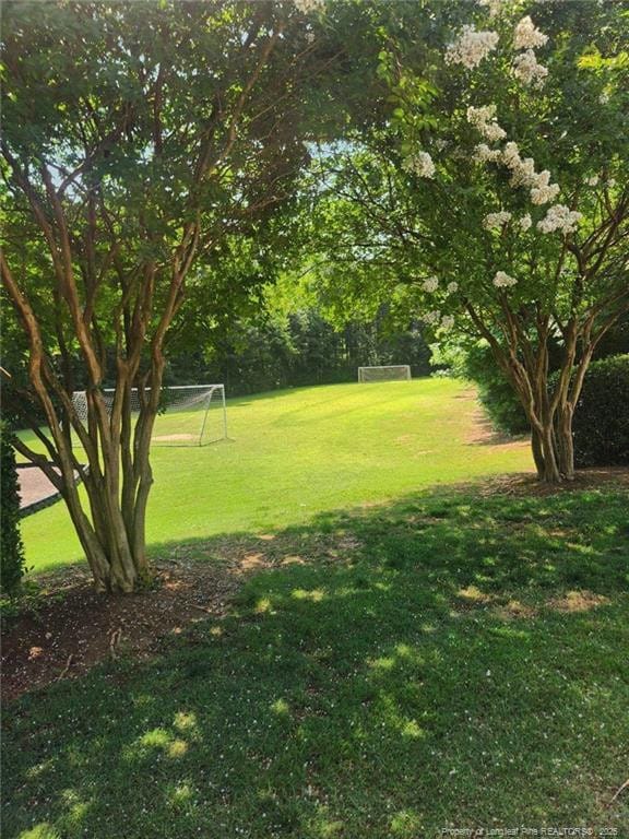 5724 Avera Ln, Holly Springs, NC 27540 - view of yard featuring an area for soccer