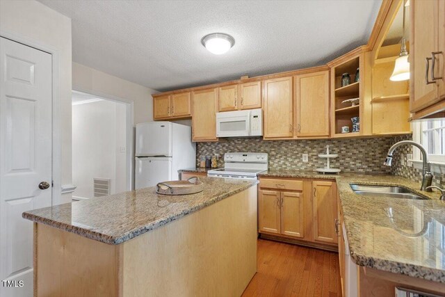 1221 Moultrie Ct, Raleigh, NC 27615 - photo 13