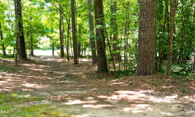 2945 Oxford Rd, Henderson, NC 27536 - photo 75