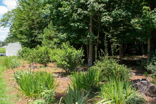 2945 Oxford Rd, Henderson, NC 27536 - photo 76