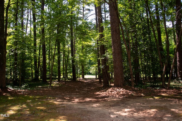 2945 Oxford Rd, Henderson, NC 27536 - photo 78
