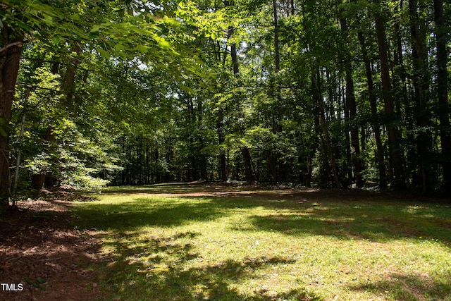 2945 Oxford Rd, Henderson, NC 27536 - photo 80