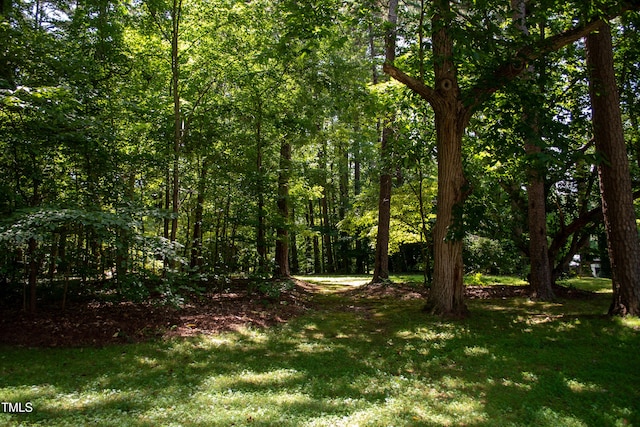 2945 Oxford Rd, Henderson, NC 27536 - photo 82