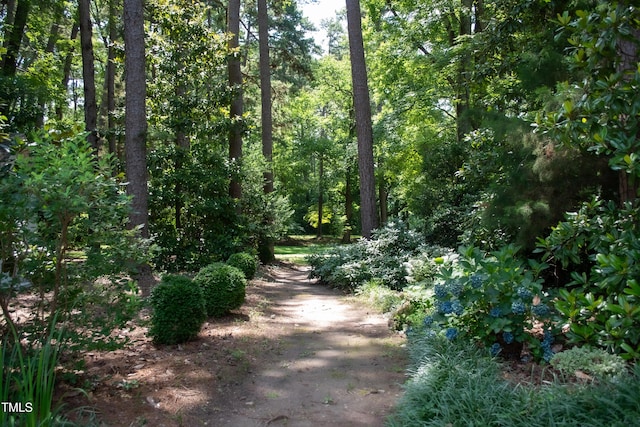 2945 Oxford Rd, Henderson, NC 27536 - photo 67