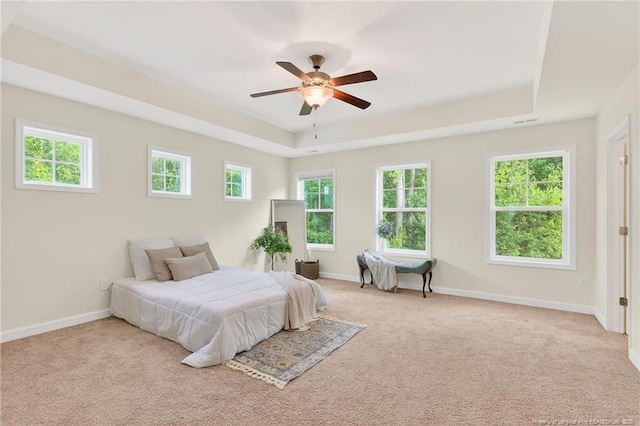 407 Birch Ave, Spring Lake, NC 28390 - photo 47