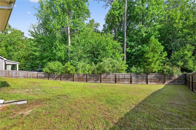407 Birch Ave, Spring Lake, NC 28390 - photo 50