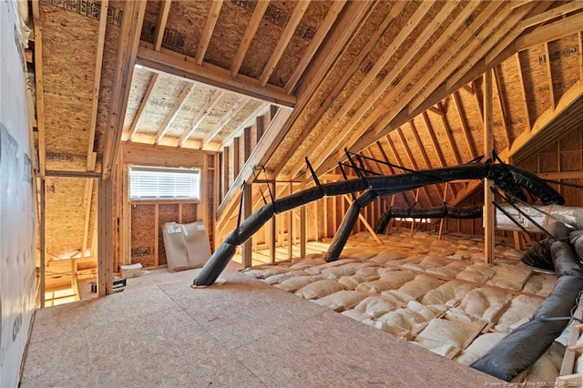 232 Captain Hbr, Sanford, NC 27332 - view of attic