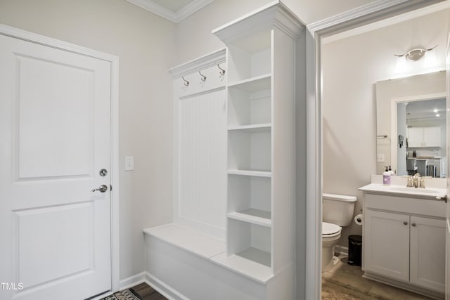 4805 Ozark St, Fuquay Varina, NC 27526 - mudroom featuring a sink and ornamental molding