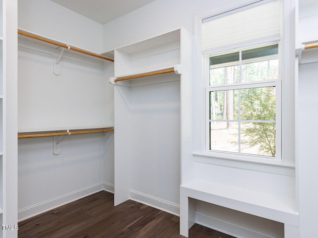 3601 Carole Ct, Wake Forest, NC 27587 - photo 29
