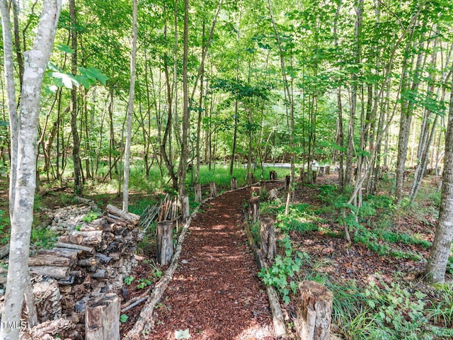 3601 Carole Ct, Wake Forest, NC 27587 - photo 50