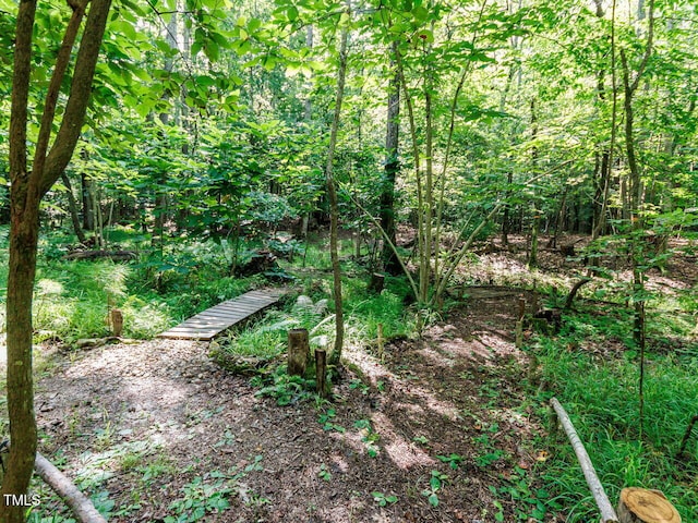 3601 Carole Ct, Wake Forest, NC 27587 - photo 52