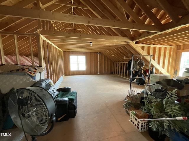 1034 Snapdragon Dr, Wake Forest, NC 27587 - view of attic