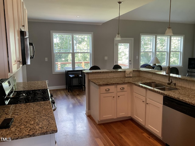 1034 Snapdragon Dr, Wake Forest, NC 27587 - kitchen with appliances with stainless steel finishes, healthy amount of natural light, light wood-style flooring, and light stone counters