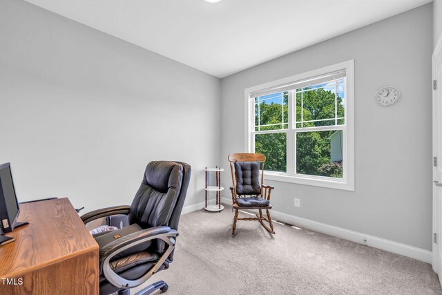 1034 Snapdragon Dr, Wake Forest, NC 27587 - photo 18