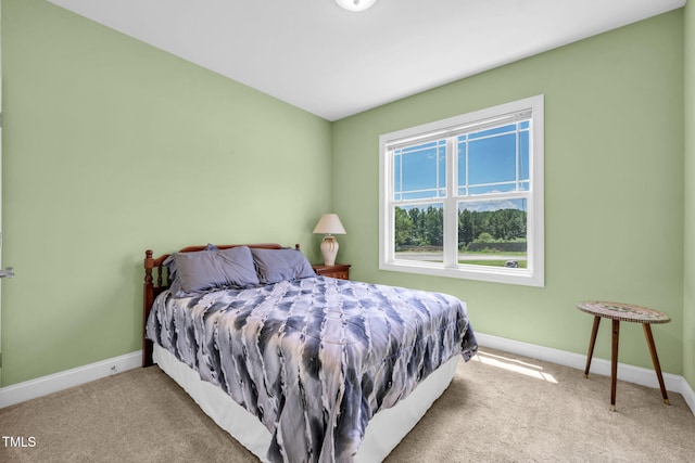 1034 Snapdragon Dr, Wake Forest, NC 27587 - photo 15
