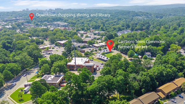 103 Inara Ct, Carrboro, NC 27510 - photo 52