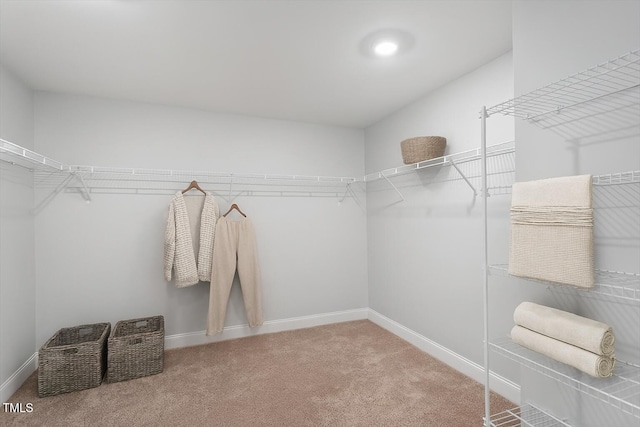 815 Harmony Ranch Ln, Franklinton, NC 27525 - walk in closet featuring carpet flooring