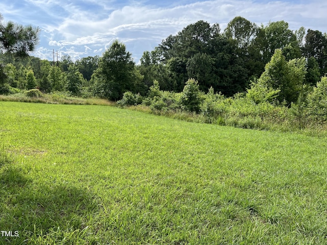 00 Bullocksvile Park Rd, Manson, NC 27553 - photo 3