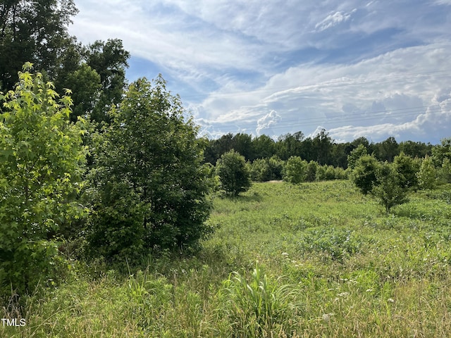 00 Bullocksvile Park Rd, Manson, NC 27553 - photo 5