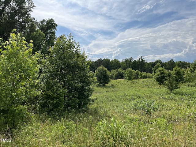 00 Bullocksvile Park Rd, Manson, NC 27553 - photo 6