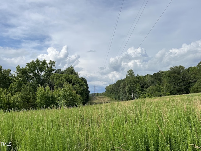 00 Bullocksvile Park Rd, Manson, NC 27553 - photo 11