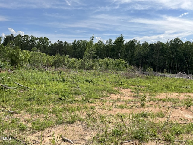 00 Bullocksvile Park Rd, Manson, NC 27553 - photo 12