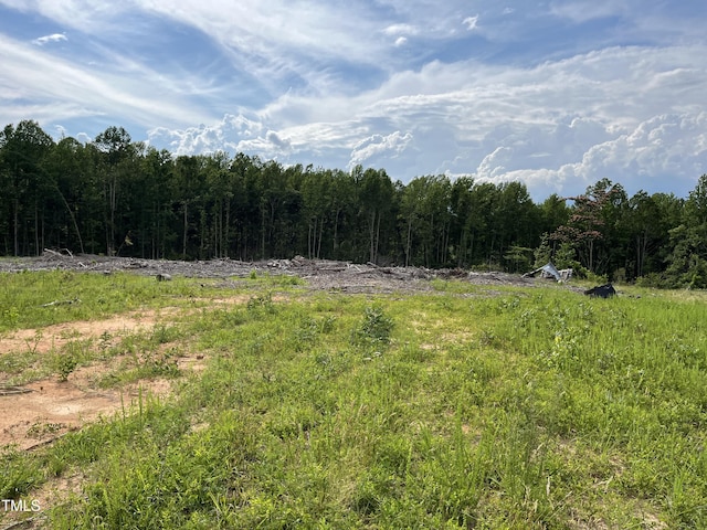 00 Bullocksvile Park Rd, Manson, NC 27553 - photo 13