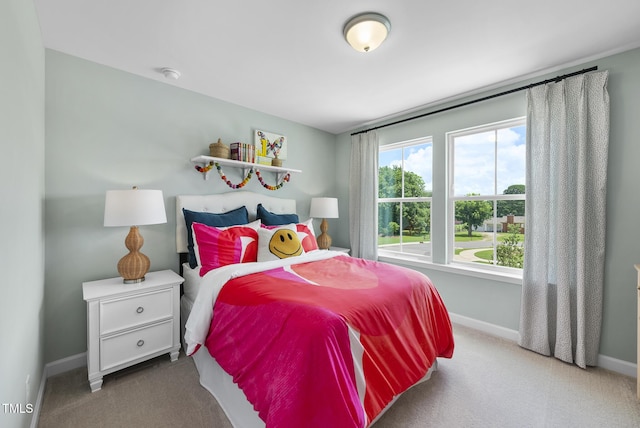 28 Buckhorn Branch Park Unit 1, Clayton, NC 27520 - photo 27