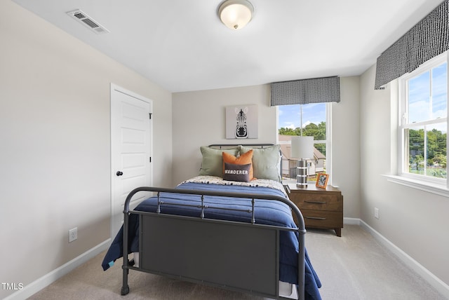 28 Buckhorn Branch Park Unit 1, Clayton, NC 27520 - photo 29