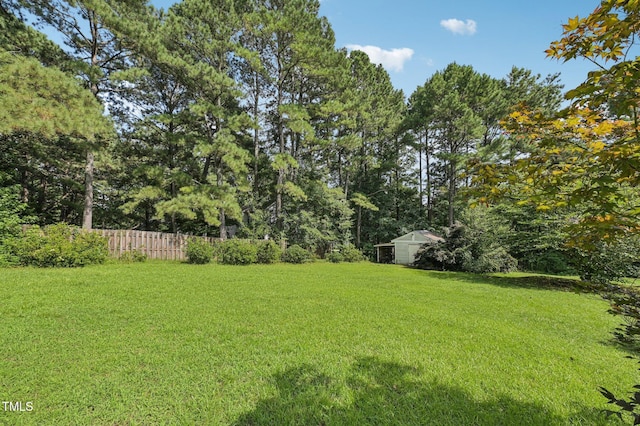 6705 Oviedo Dr, Raleigh, NC 27603 - photo 27