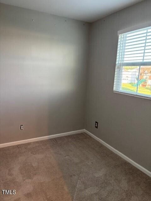 1118 Briar Rose Ln, Durham, NC 27704 - photo 9